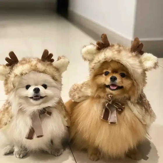 Reindeer Pet Costume Cape & Hat